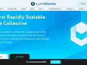 Lumiblocks Ico Review: The First Rapidly Scalable Online Collective.