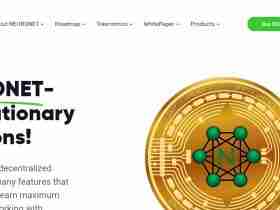 Neuronet Ico Review: Decentralized Exchange With Many Features.