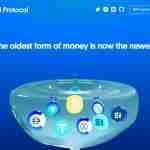 Shell Protocol Airdrop Review: The Oldest Form of Money is now the Newest