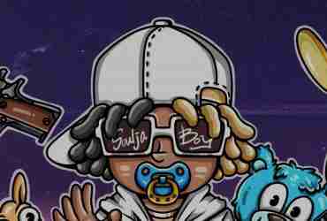 What Is Baby Soulja Boy (DRACO)?