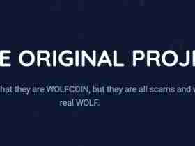 What Is Wolf Coin (WOLF)?