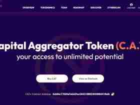 What Is USD Capital Aggregator Token (CAT+)?
