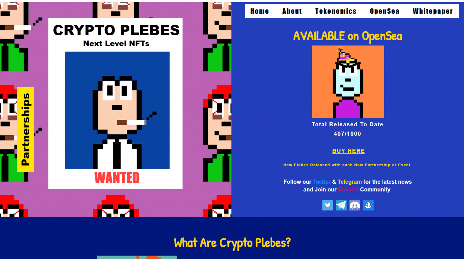 What Is Cryptoplebes? (PLEB) Complete Guide Review About Cryptoplebes.