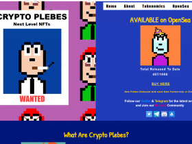 What Is Cryptoplebes? (PLEB) Complete Guide Review About Cryptoplebes.