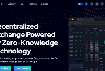 What Is ZigZag(ZZ) Coin Review ? Complete Guide Review About ZigZag