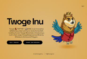 What Is Twoge Inu (TWOGE) Coin Review ? Complete Guide Review About Twoge Inu