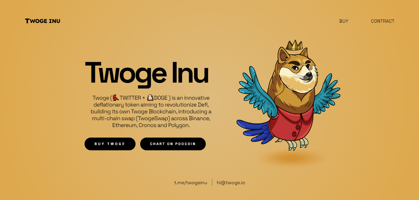 What Is Twoge Inu (TWOGE) Coin Review ? Complete Guide Review About Twoge Inu