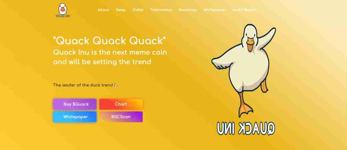 What Is QuackInu (QUACK) Coin Review? Complete Guide Review About QuackInu