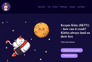 What Is Kryptokitty? (KTY) Complete Guide Review About Kryptokitty.