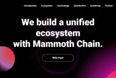 What Is Mammoth (MMT) Coin Review? Complete Guide Review About Mammoth