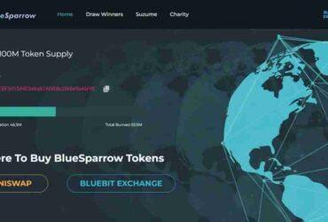 What Is BlueSparrow (BLUESPARROW) Coin Review? Complete Guide Review About BlueSparrow