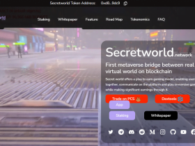 What Is Secretworld(SSD) Coin Review ? Complete Guide Review About Secretworld