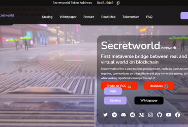 What Is Secretworld(SSD) Coin Review ? Complete Guide Review About Secretworld