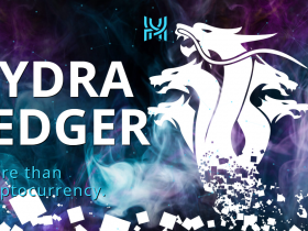 What Is Hydraledger (HYD) Coin Review ? Complete Guide Review About Hydraledger