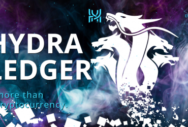 What Is Hydraledger (HYD) Coin Review ? Complete Guide Review About Hydraledger