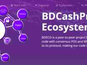 What Is BDCashProtocol Ecosystem (BDECO)?