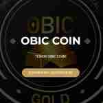 What Is OBIC (OBIC)?