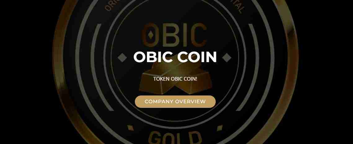 What Is OBIC (OBIC)?
