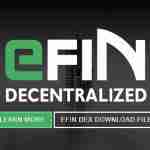What Is eFIN (EFIN)?