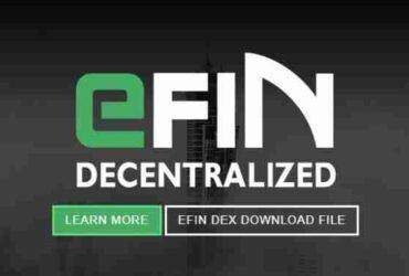 What Is eFIN (EFIN)?