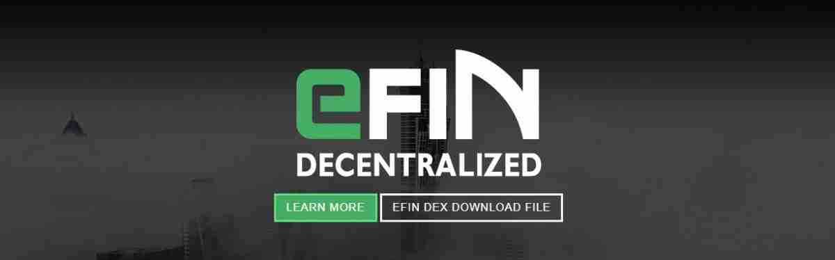 What Is eFIN (EFIN)?