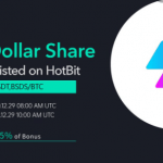 What Is Basis Dollar Share (BSDS)?