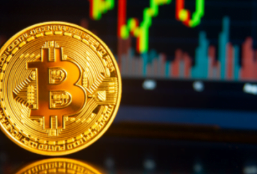 What Is Apiary Fund Coin (AFC)?