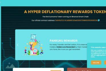 PanKUKU Ico Review: It Is Legit Or Scam?