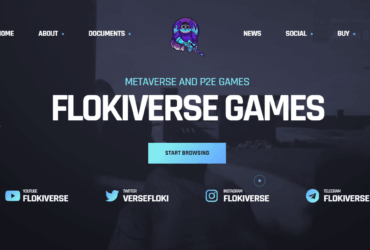 What is Flokiverse (FLOKIV) ? Complete Guide Review About Flokiverse
