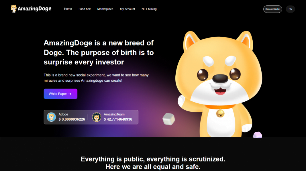 What Is AmazingDoge? (ADOGE) Complete Guide Review About AmazingDoge.
