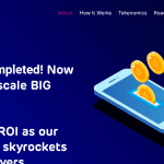 What Is Brayzin Heist (BRZH)Review ? Complete Guide Review About Brayzin Heist