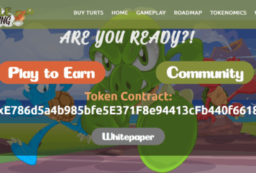 What is Turtle Racing (TURT) ? Complete Guide Review About Turtle Racing