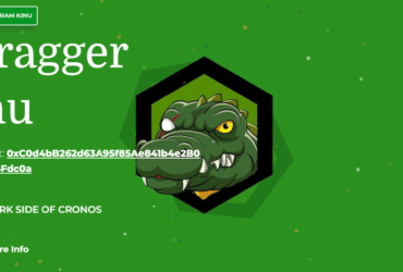 What Is Kragger Inu(KINU) ? Complete Guide & Review About Kragger Inu