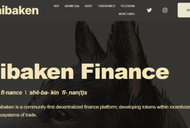 What Is Shibaken Finance (SHIBAKEN) ? Complete Guide Review About Shibaken Finance