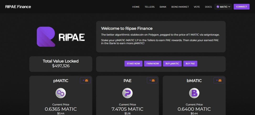 What Is Ripae? Complete Guide & Review About Ripae