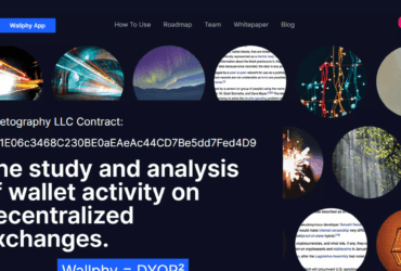 What Is Wallphy (WALLPHY) ? Complete Guide & Review About Wallphy
