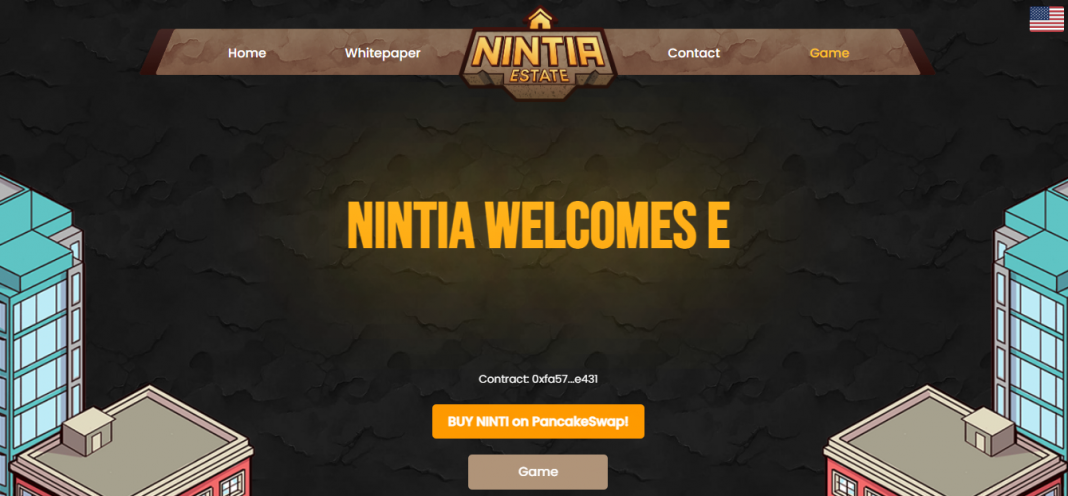 What Is Nintia Estate (NINTI) ? Complete Guide & Review About Nintia Estate