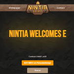 What Is Nintia Estate (NINTI) ? Complete Guide & Review About Nintia Estate