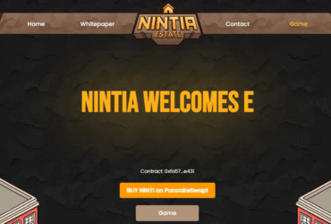 What Is Nintia Estate (NINTI) ? Complete Guide & Review About Nintia Estate