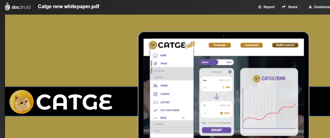 What is Catge coin (CATGE) ? Complete Guide Review About Catge coin