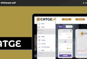 What is Catge coin (CATGE) ? Complete Guide Review About Catge coin