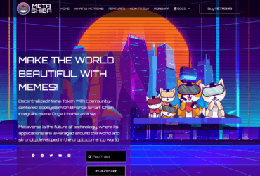 What Is Metashiba? (METASHIB) Complete Guide Review About Metashiba.