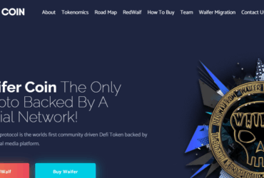 What Is Waifer(HPW) ?Complete Guide Review About Waifer