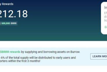 What Is Burrow (BRRR)?