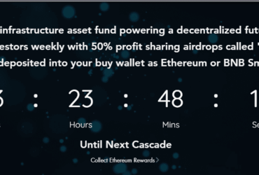 What Is Pitquidity (PITQD)?