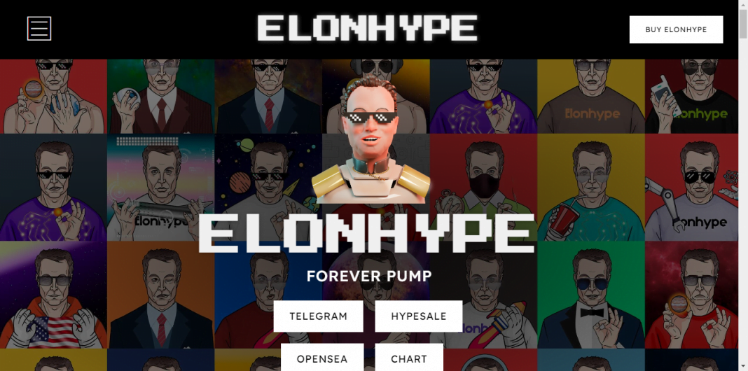 What Is ElonHype (ELONHYPE)?