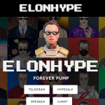 What Is ElonHype (ELONHYPE)?
