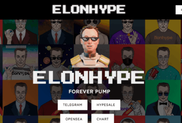 What Is ElonHype (ELONHYPE)?