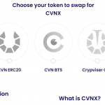What Is Crypviser (CVNX)?