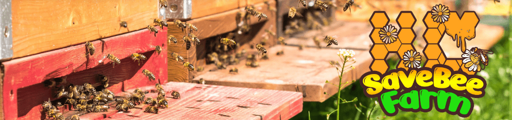 SaveBee Farm Honeyconb